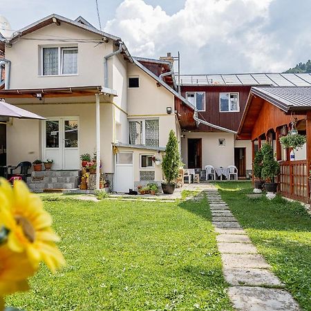 Pensiunea Montan Busteni Buşteni Exterior foto