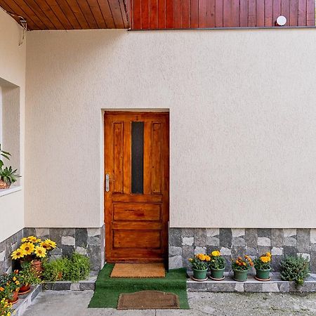 Pensiunea Montan Busteni Buşteni Exterior foto