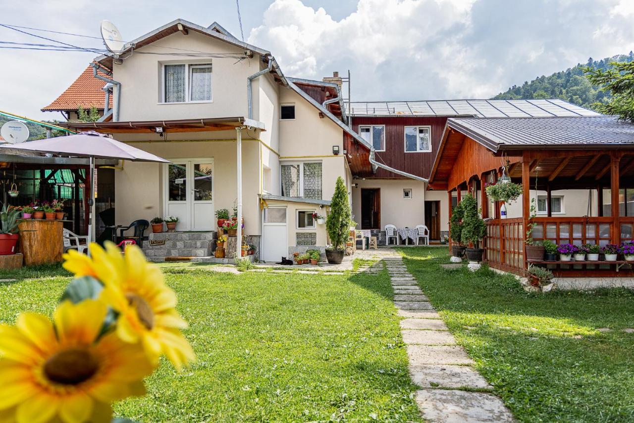 Pensiunea Montan Busteni Buşteni Exterior foto