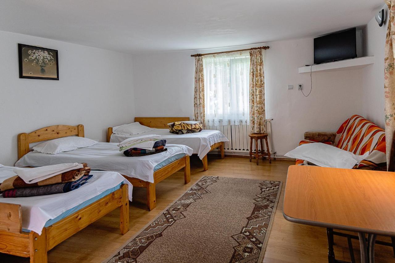 Pensiunea Montan Busteni Buşteni Exterior foto