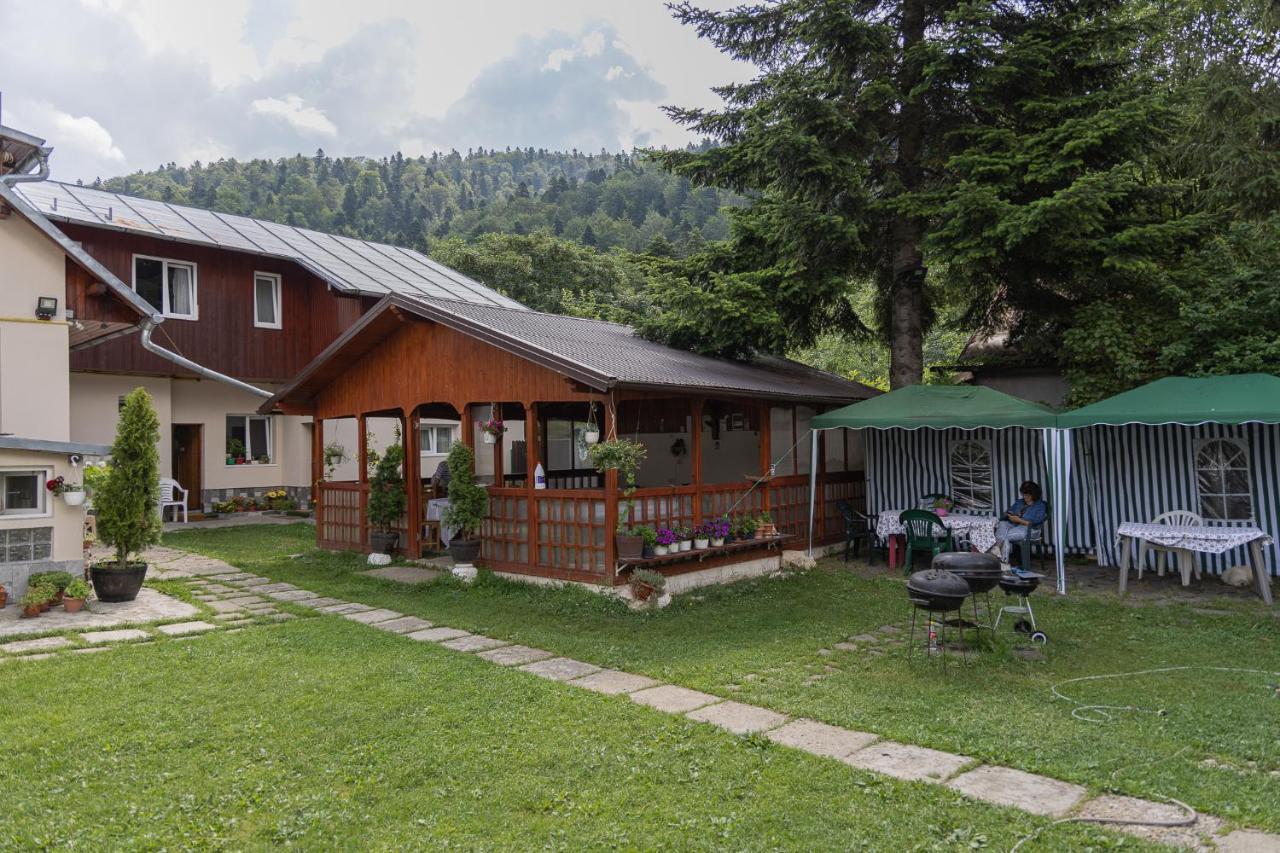 Pensiunea Montan Busteni Buşteni Exterior foto
