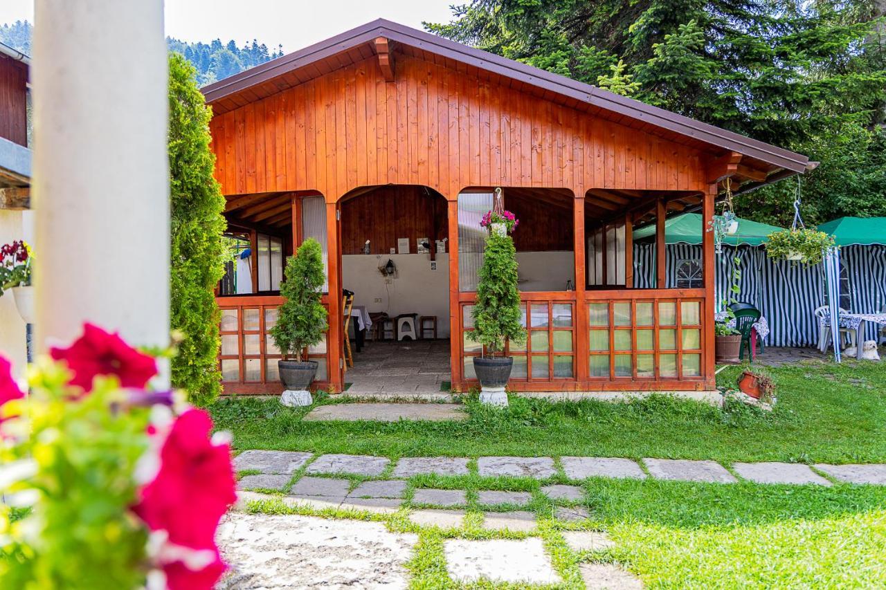 Pensiunea Montan Busteni Buşteni Exterior foto