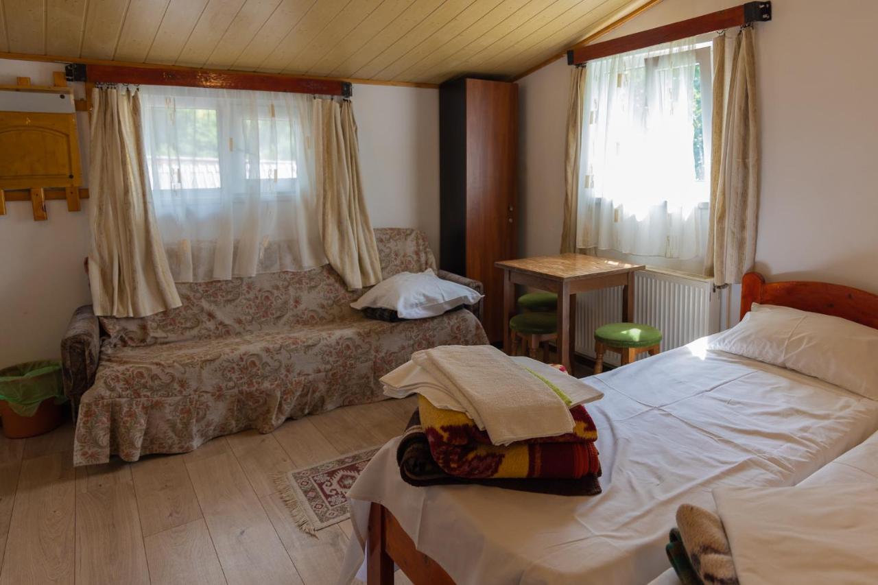 Pensiunea Montan Busteni Buşteni Exterior foto