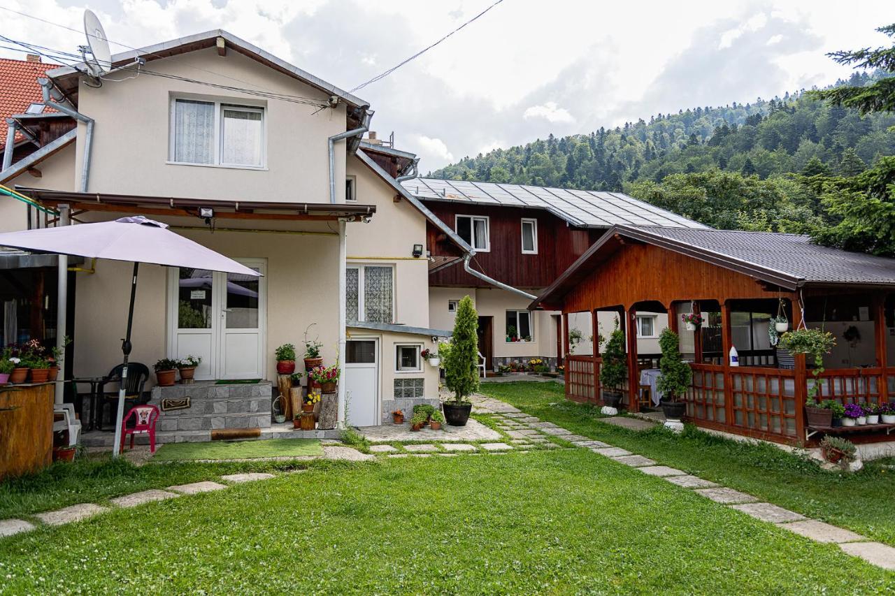 Pensiunea Montan Busteni Buşteni Exterior foto