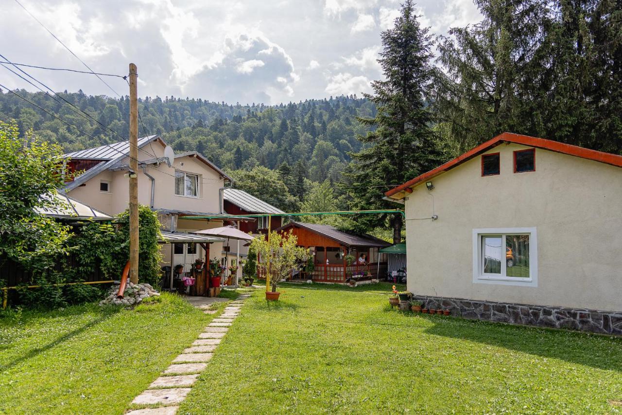 Pensiunea Montan Busteni Buşteni Exterior foto