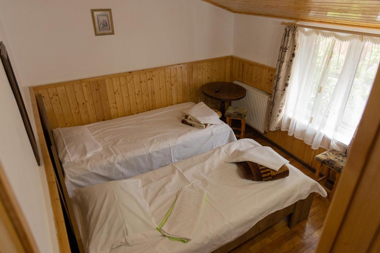Pensiunea Montan Busteni Buşteni Exterior foto