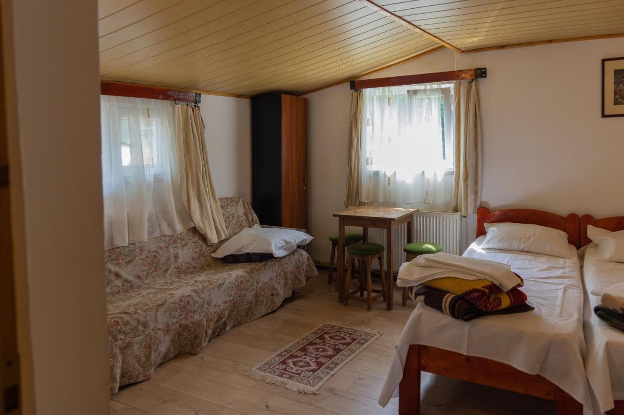 Pensiunea Montan Busteni Buşteni Exterior foto
