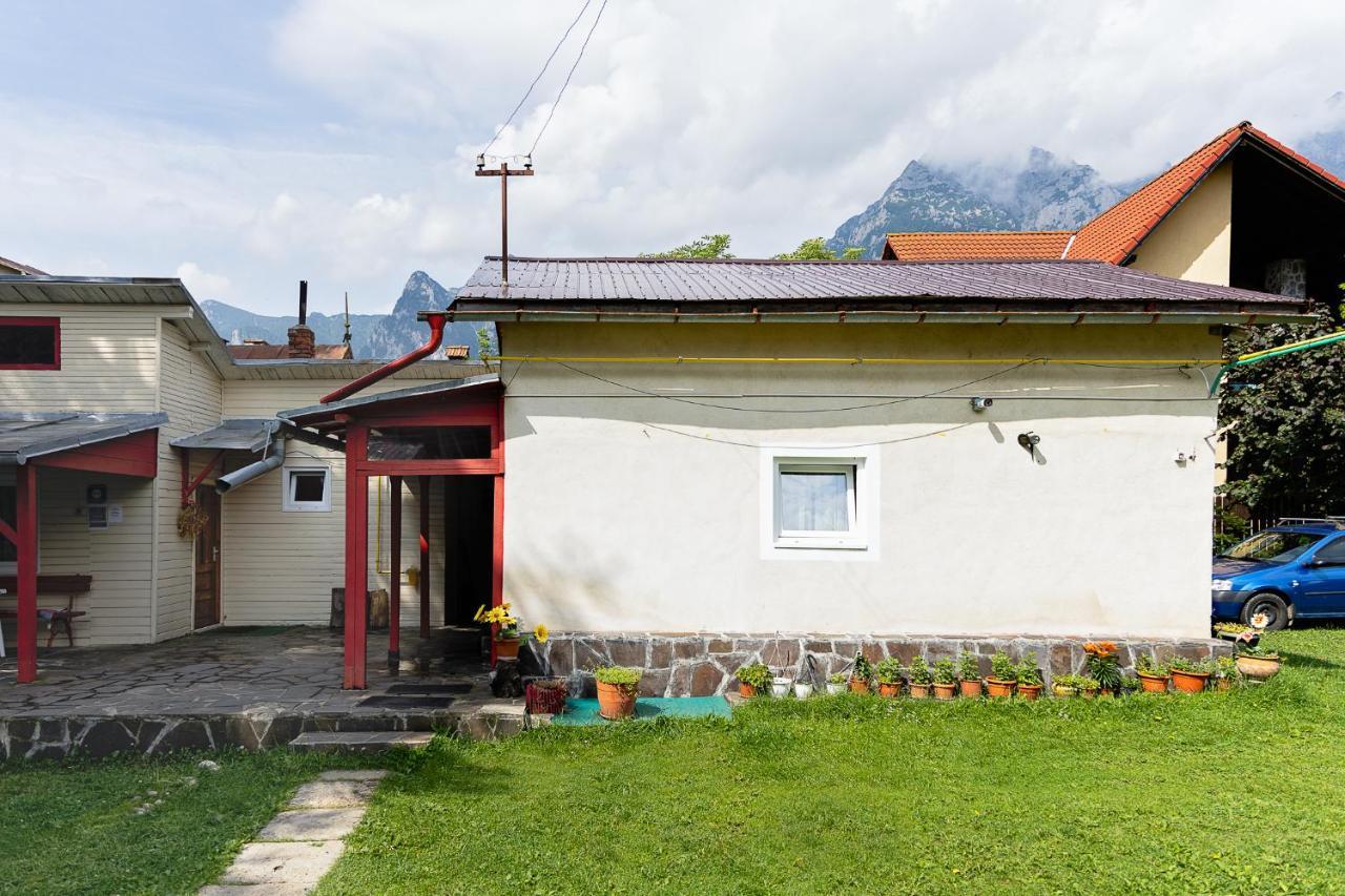 Pensiunea Montan Busteni Buşteni Exterior foto