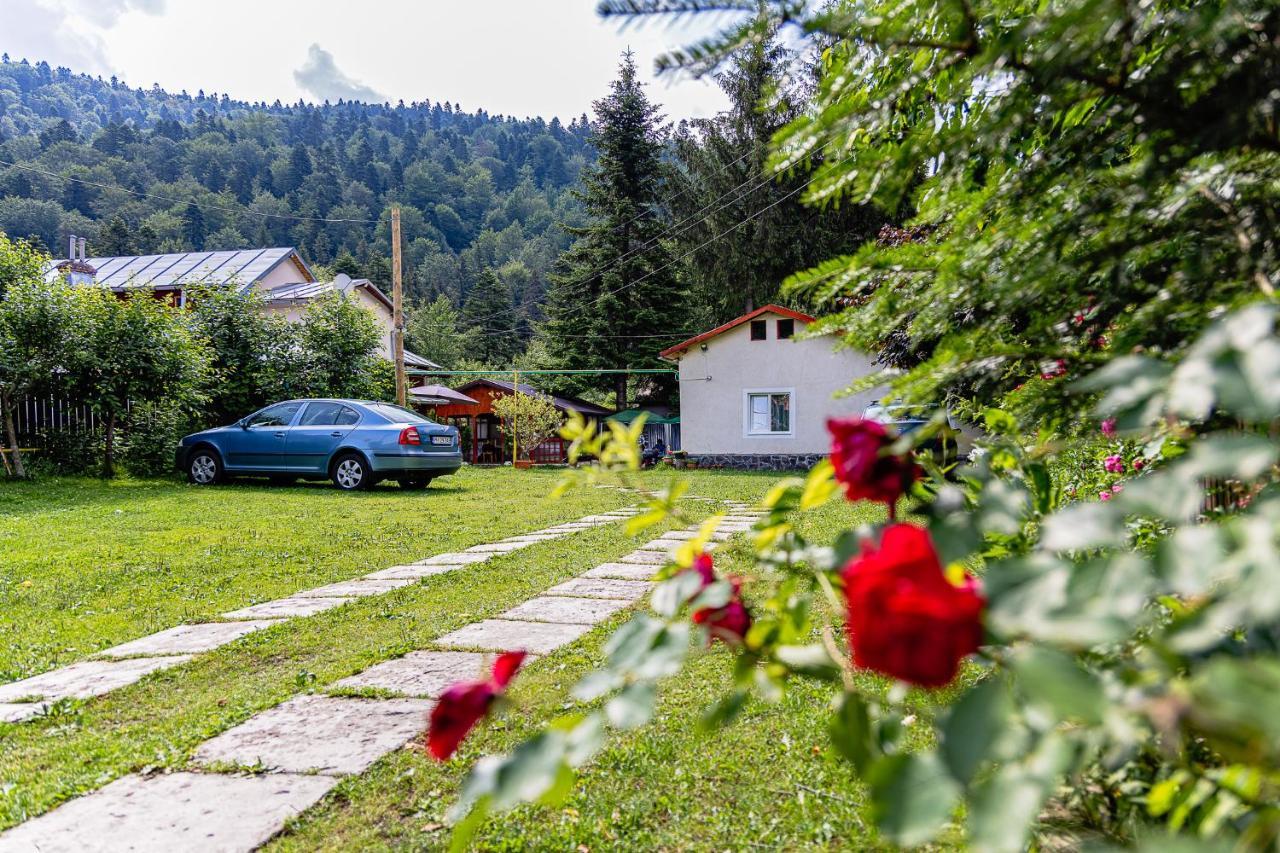 Pensiunea Montan Busteni Buşteni Exterior foto