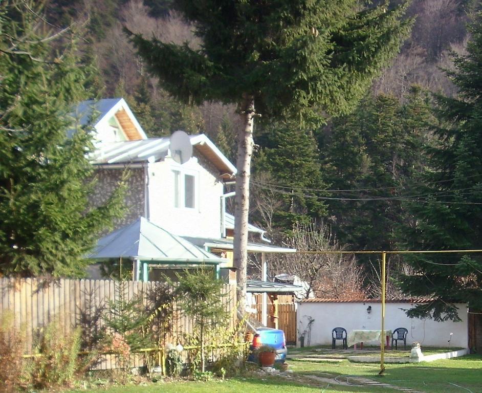 Pensiunea Montan Busteni Buşteni Exterior foto