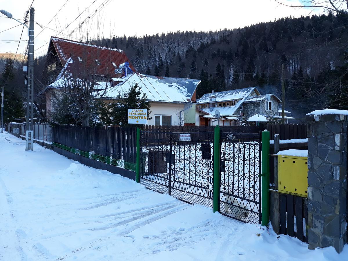 Pensiunea Montan Busteni Buşteni Exterior foto